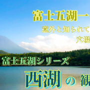 西湖のサムネ_富士五湖一の風景