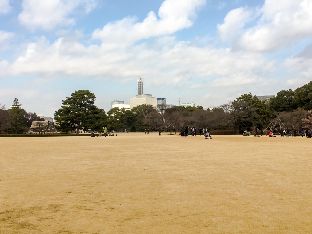 皇居東御苑。ピクニックなんてしたら最高でしょうね!