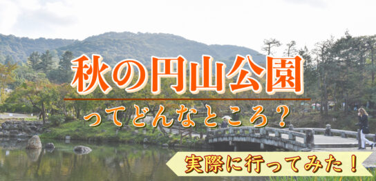 【京都ひとり旅】秋の円山公園へ行ってみた！紅葉の見どころ・観光コースの参考にどうぞ！