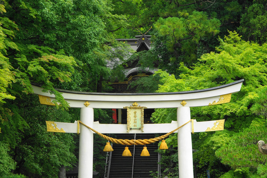 秩父_パワースポット_見どころ_宝登山神社