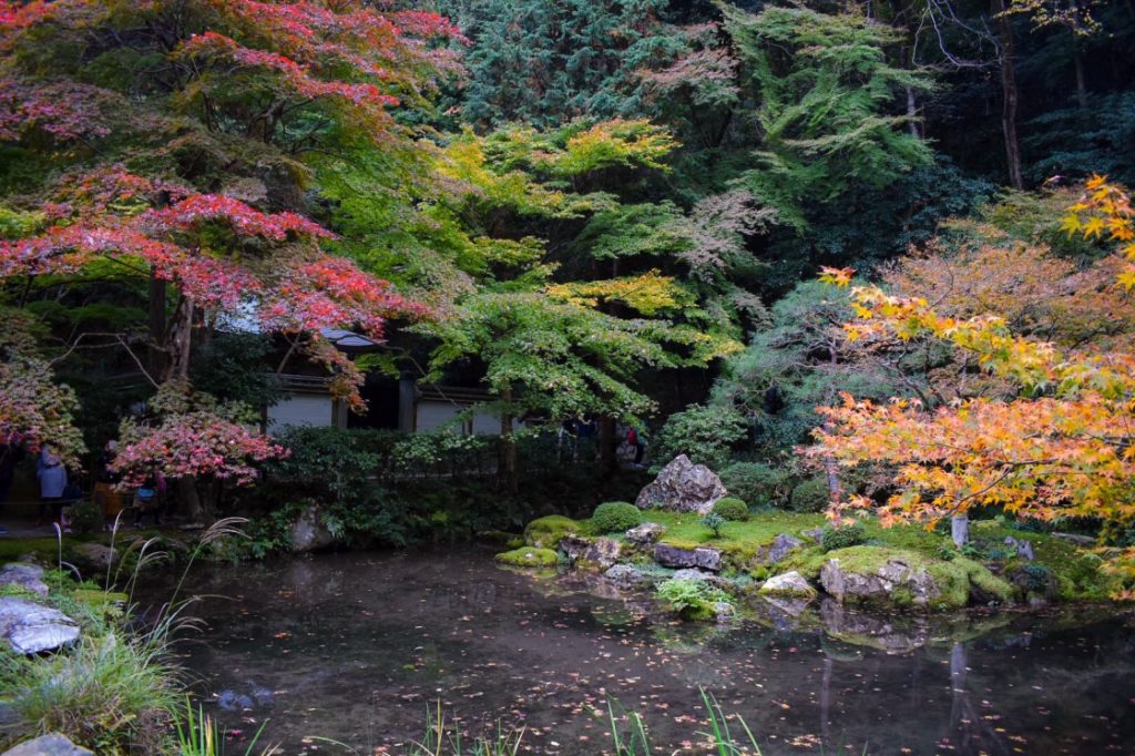 南禅院の紅葉_庭園_京都のオススメ見どころ