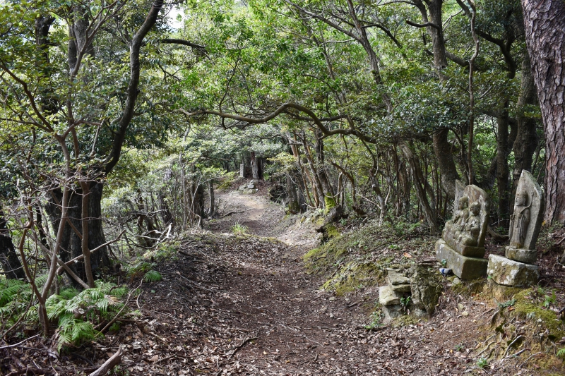 城崎温泉リゾバ_観光地紹介_大師山ハイキング