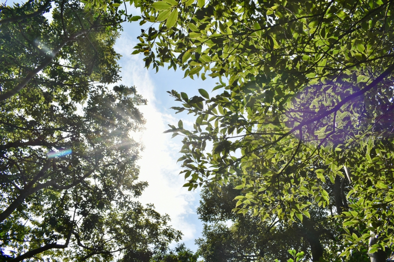 城崎温泉リゾバ_観光地紹介_大師山ハイキング