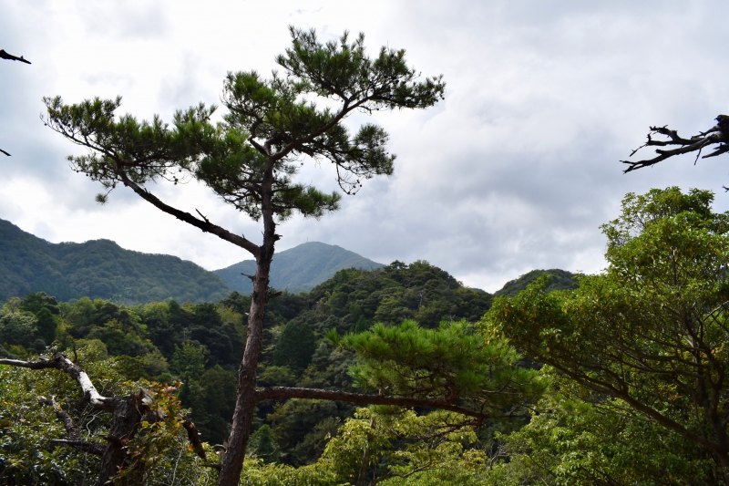 城崎温泉リゾバ_観光地紹介_大師山ハイキング