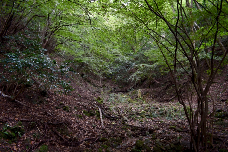 城崎温泉リゾバ_観光地紹介_大師山ハイキング