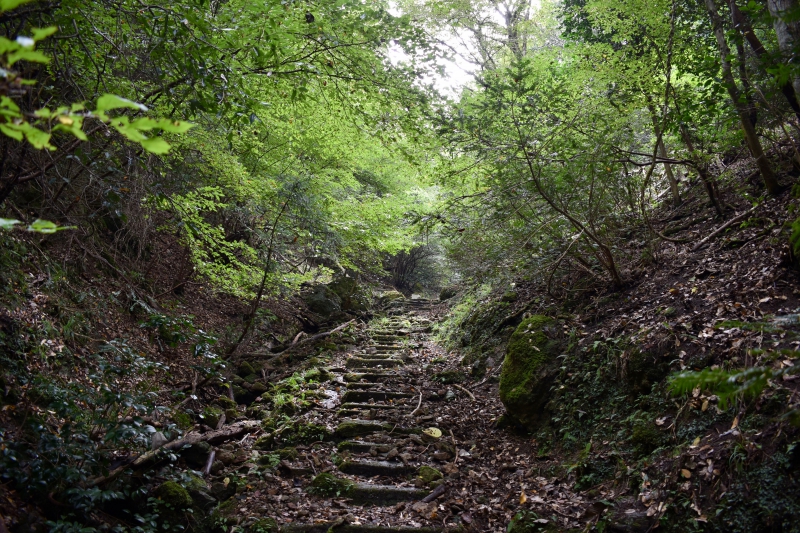 城崎温泉リゾバ_観光地紹介_大師山ハイキング