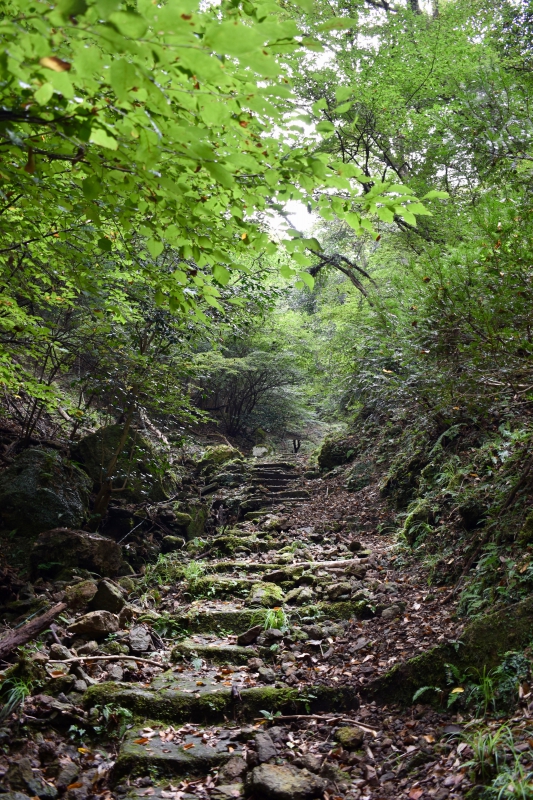 城崎温泉リゾバ_観光地紹介_大師山ハイキング