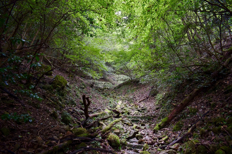 城崎温泉リゾバ_観光地紹介_大師山ハイキング