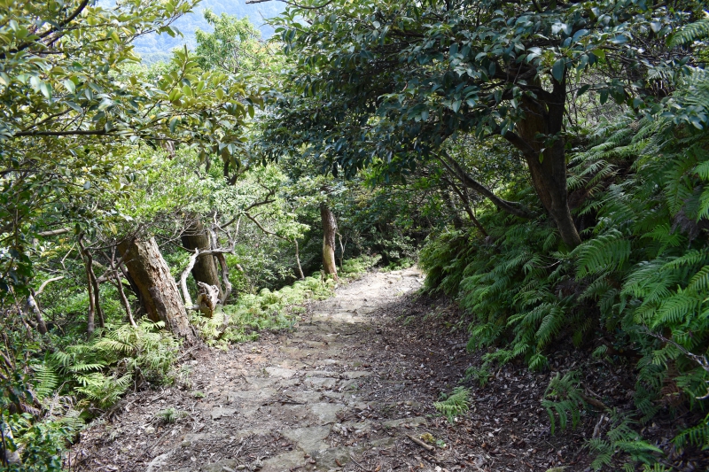 城崎温泉リゾバ_観光地紹介_大師山ハイキング