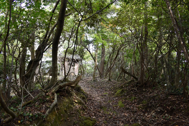 城崎温泉リゾバ_観光地紹介_大師山ハイキング