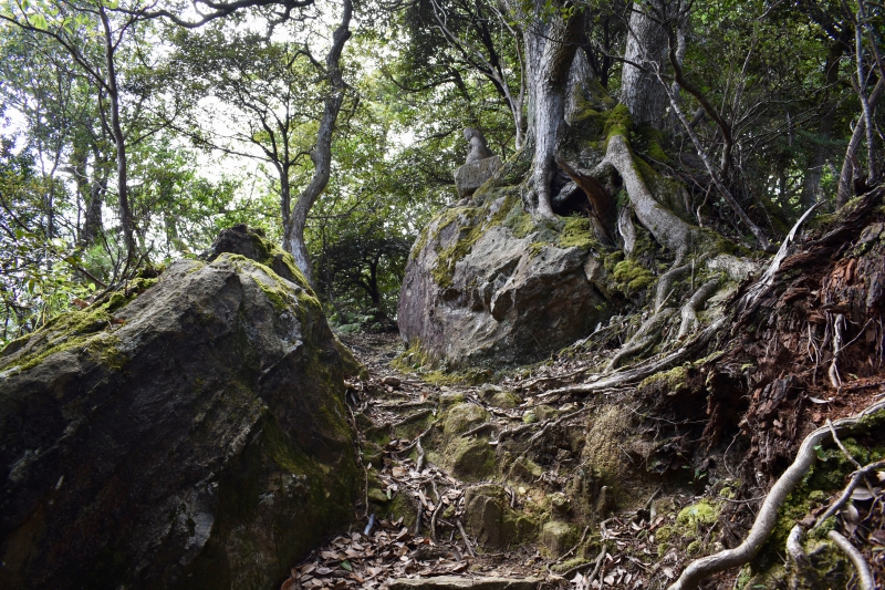 城崎温泉リゾバ_観光地紹介_大師山ハイキング