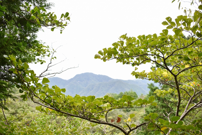 城崎温泉リゾバ_観光地紹介_大師山ハイキング