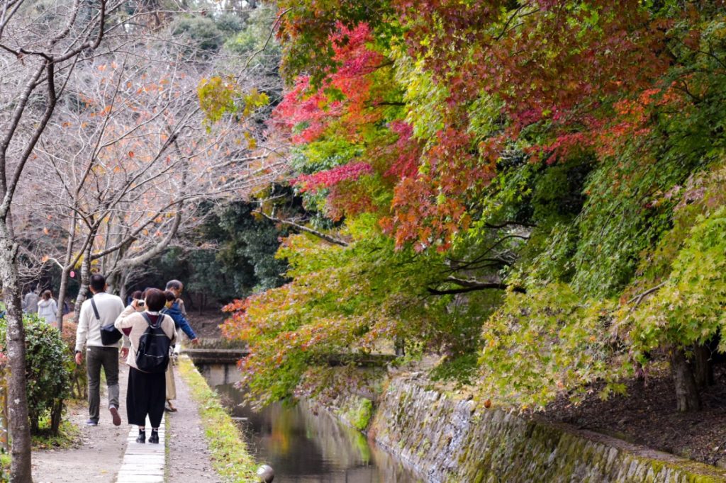 哲学の道_紅葉と水路_京都のオススメ見どころ