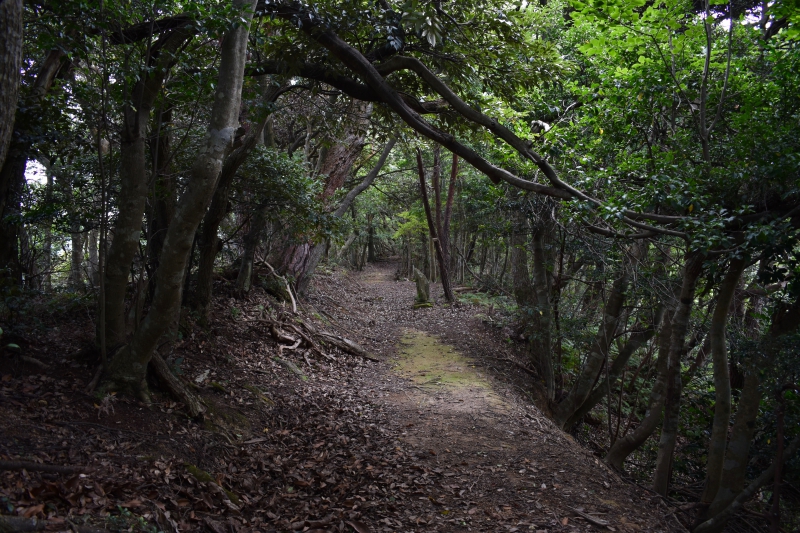 城崎温泉リゾバ_観光地紹介_大師山ハイキング