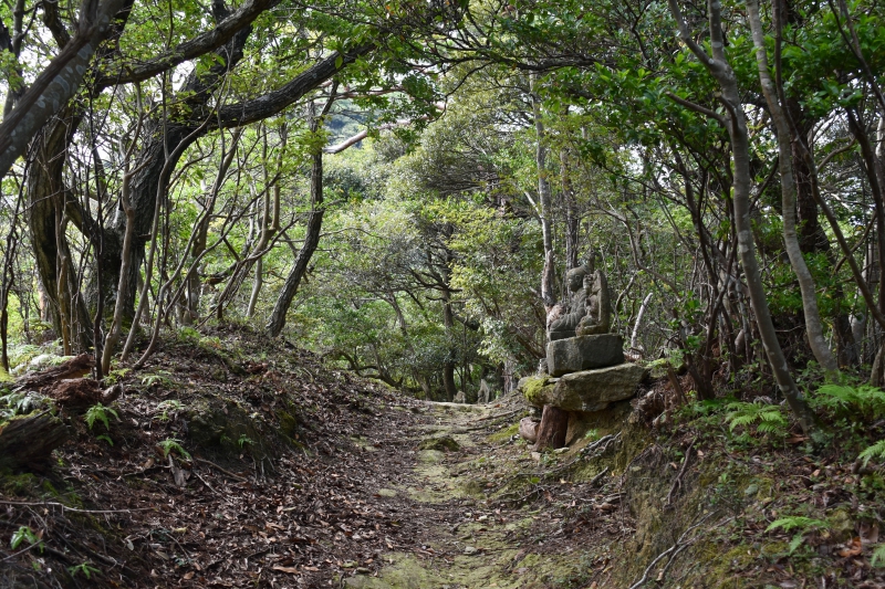 城崎温泉リゾバ_観光地紹介_大師山ハイキング