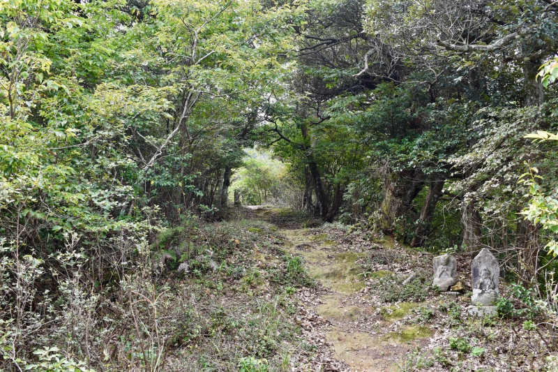 城崎温泉リゾバ_観光地紹介_大師山ハイキング