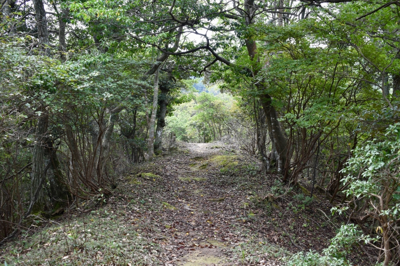 城崎温泉リゾバ_観光地紹介_大師山ハイキング