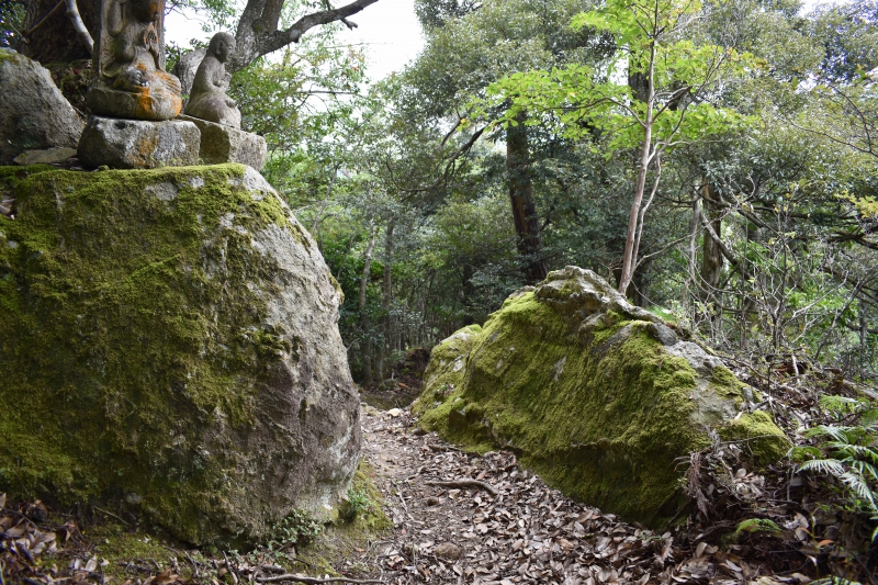 城崎温泉リゾバ_観光地紹介_大師山ハイキング