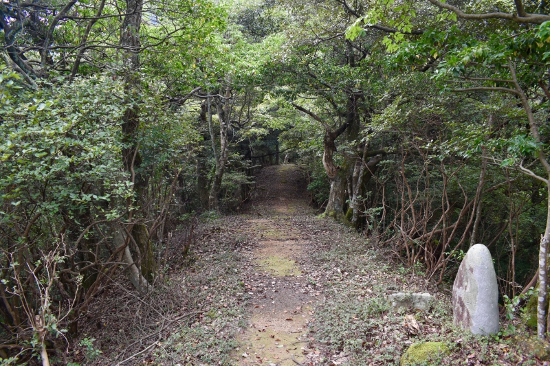 城崎温泉リゾバ_観光地紹介_大師山ハイキング