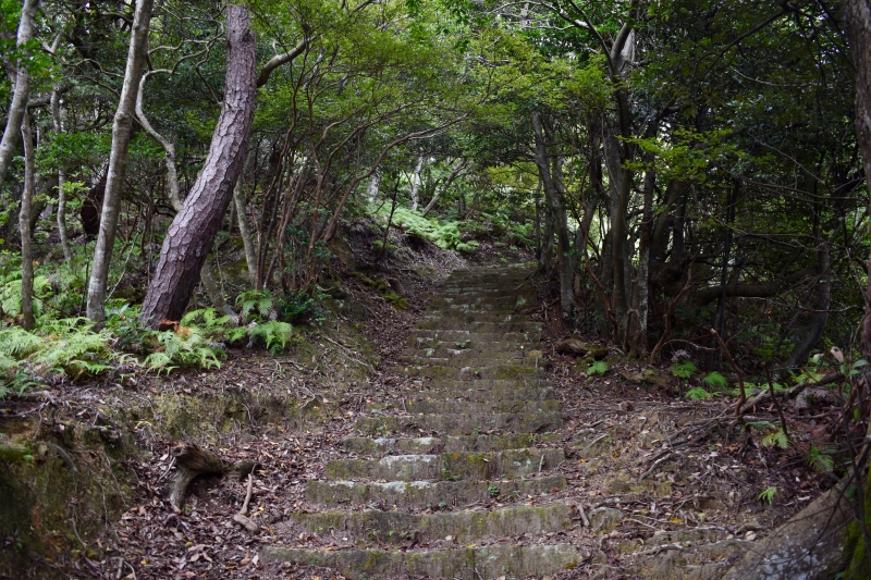 城崎温泉リゾバ_観光地紹介_大師山ハイキング