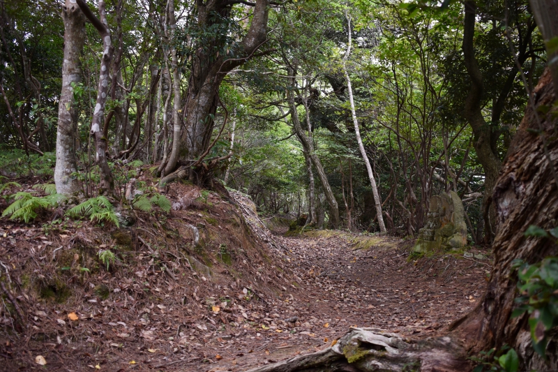 城崎温泉リゾバ_観光地紹介_大師山ハイキング