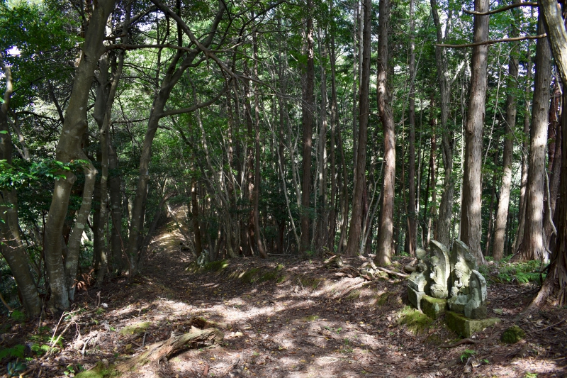 城崎温泉リゾバ_観光地紹介_大師山ハイキング