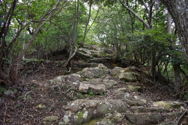 城崎温泉リゾバ_観光地紹介_大師山ハイキング_秘密の風景