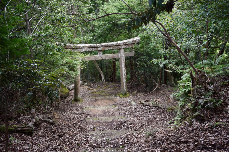 城崎温泉リゾバ_観光地紹介_大師山ハイキング_秘密の鳥居