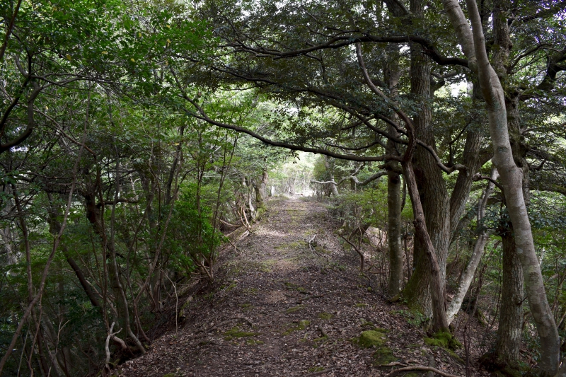 城崎温泉リゾバ_観光地紹介_大師山ハイキング