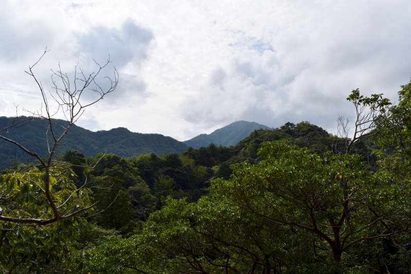 城崎温泉リゾバ_観光地紹介_大師山ハイキング