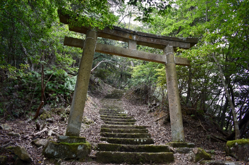 城崎温泉リゾバ_観光地紹介_大師山ハイキング_秘密の鳥居