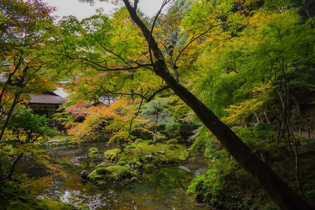 南禅院の紅葉_庭園とジブリ風_京都のオススメ見どころ