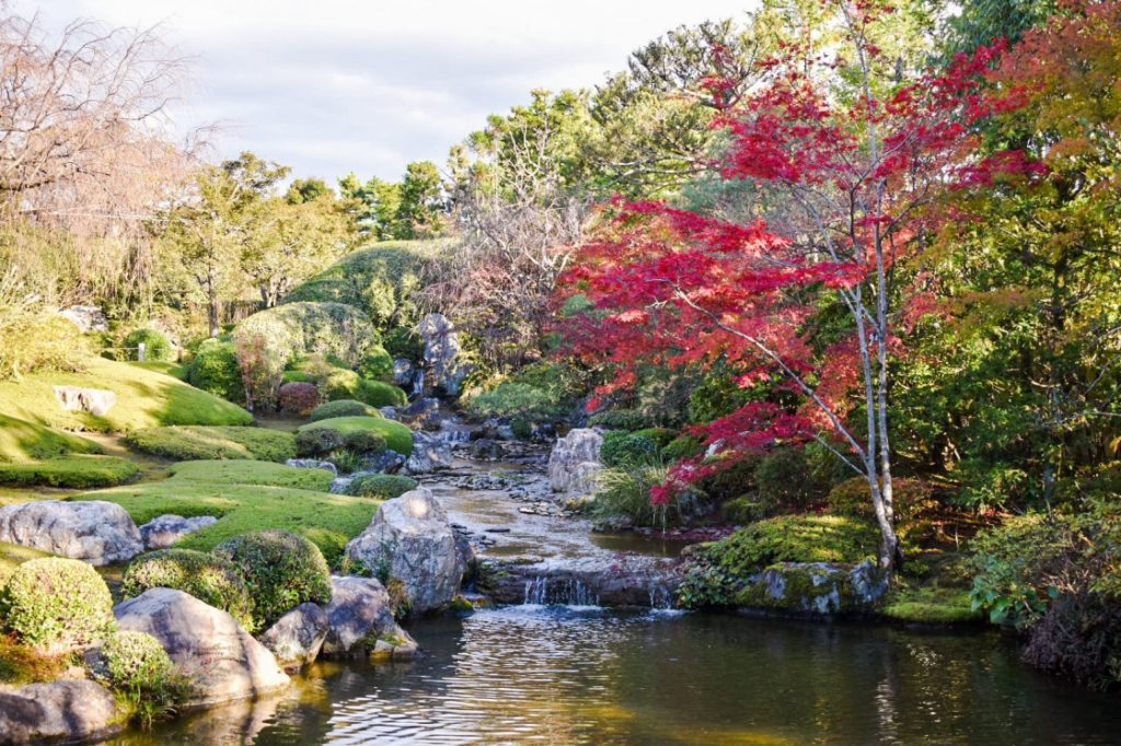 秋の仁和寺_退蔵院_京都の紅葉の穴場見どころ