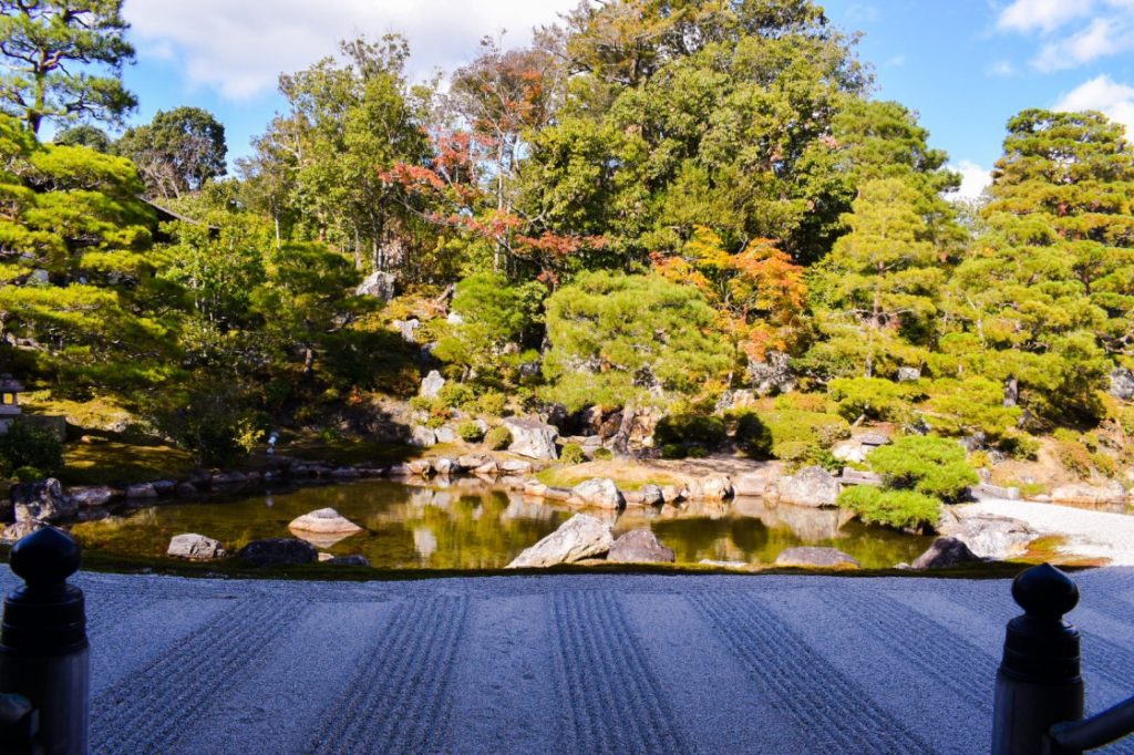 秋の仁和寺_枯山水の庭園と池_京都の紅葉の見どころ