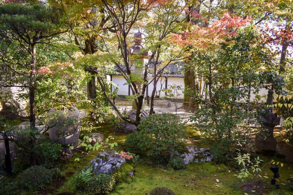 秋の仁和寺_退蔵院_京都の紅葉の穴場見どころ