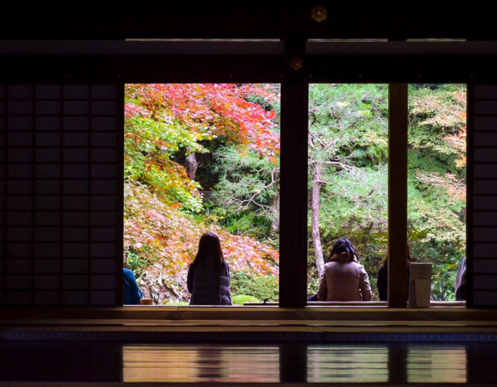 南禅院の紅葉_書院と庭園_京都のオススメ見どころ