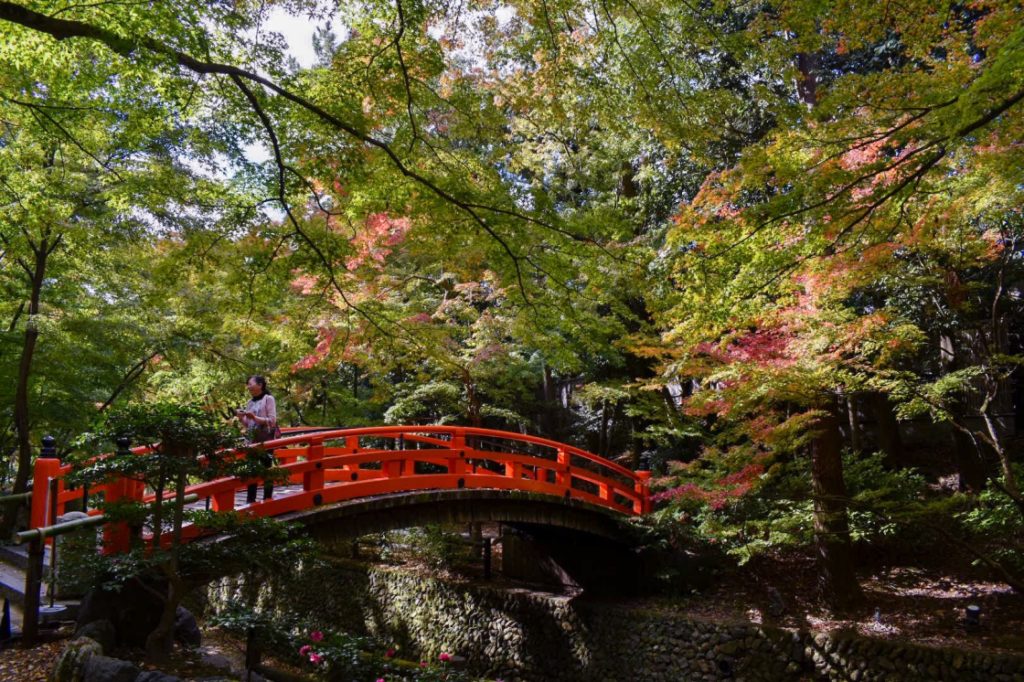 秋の北野天満宮_もみじ苑の太鼓橋_京都の紅葉