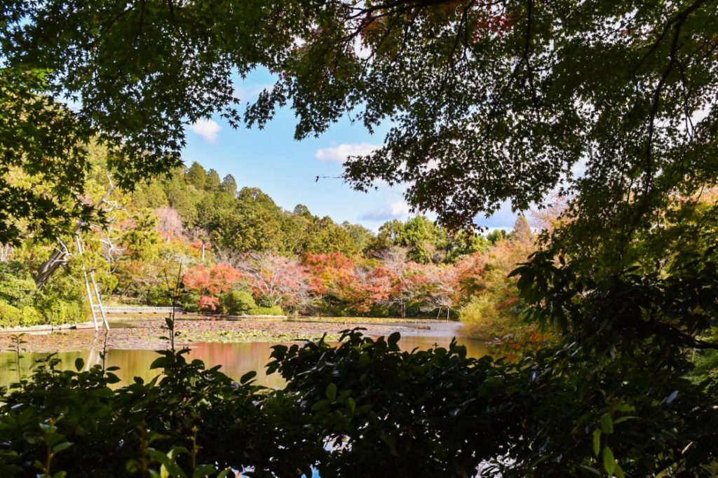 秋の龍安寺_鏡容池_京都の紅葉