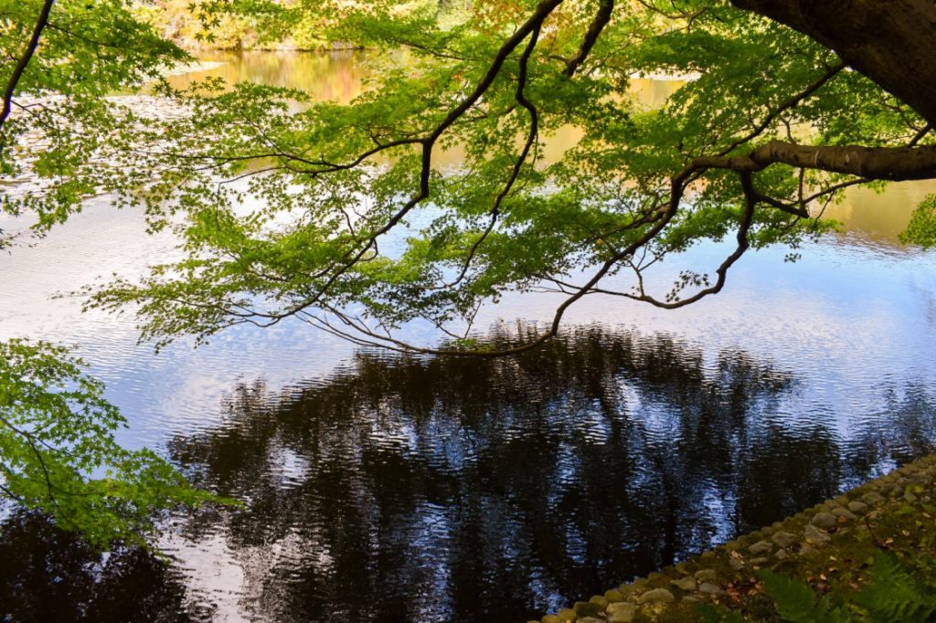 秋の龍安寺_鏡容池_京都の紅葉