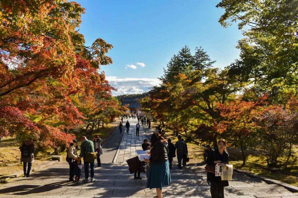 秋の仁和寺_仁王門_京都の紅葉の見どころ