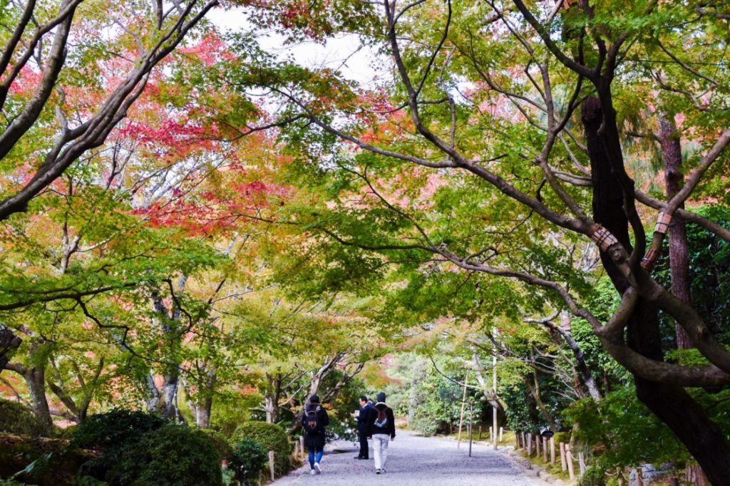 秋の龍安寺_鏡容池と参道_京都の紅葉