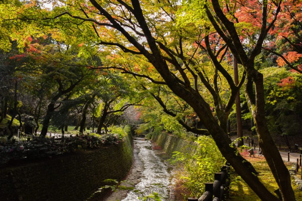 秋の北野天満宮_もみじ苑_京都の紅葉