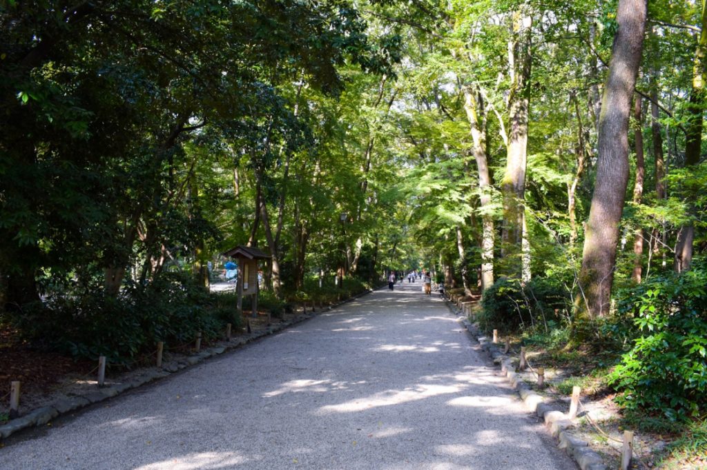 京都パワースポット巡りの一人旅_下鴨神社