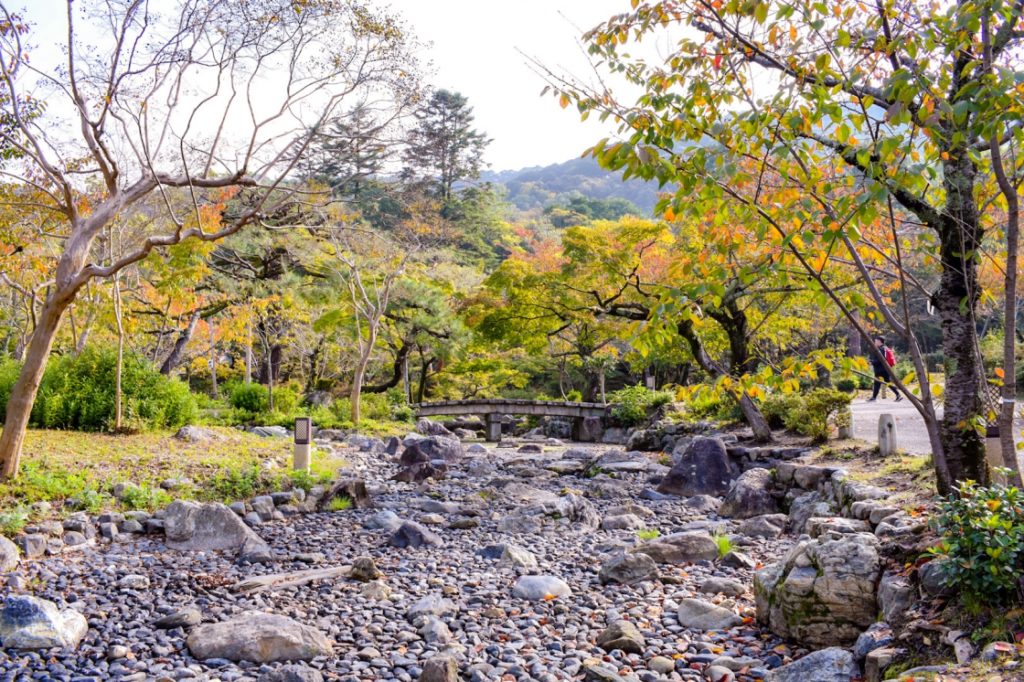 京都パワースポット巡りの一人旅_円山公園の紅葉