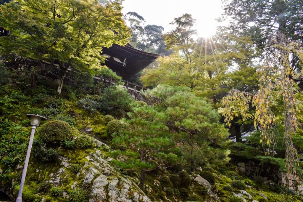 京都パワースポット巡りの一人旅_知恩院