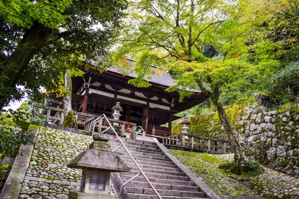 京都パワースポット巡りの一人旅_知恩院