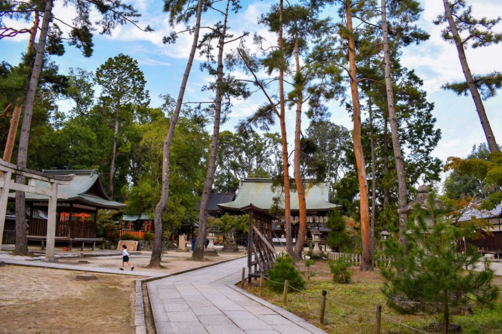 京都パワースポット巡りの一人旅_今宮神社