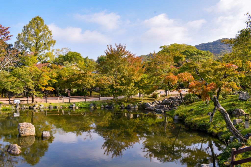 京都パワースポット巡りの一人旅_円山公園の紅葉