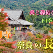奈良・長谷寺の旅行_観光案内_見どころ・由来・アクセス