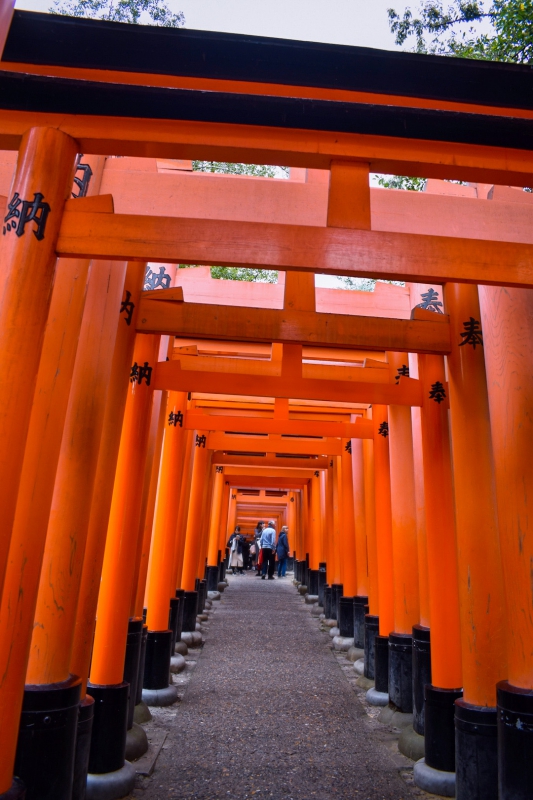 京都パワースポット巡りの一人旅_伏見稲荷神社の千本鳥居